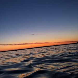 Meet your Posher, Ava